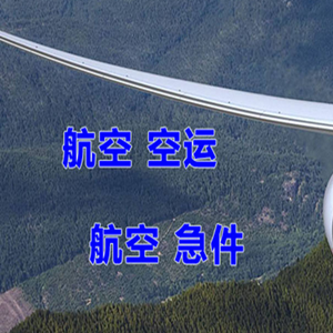 百色巴马航空托运快递-选东方航空和上海航空